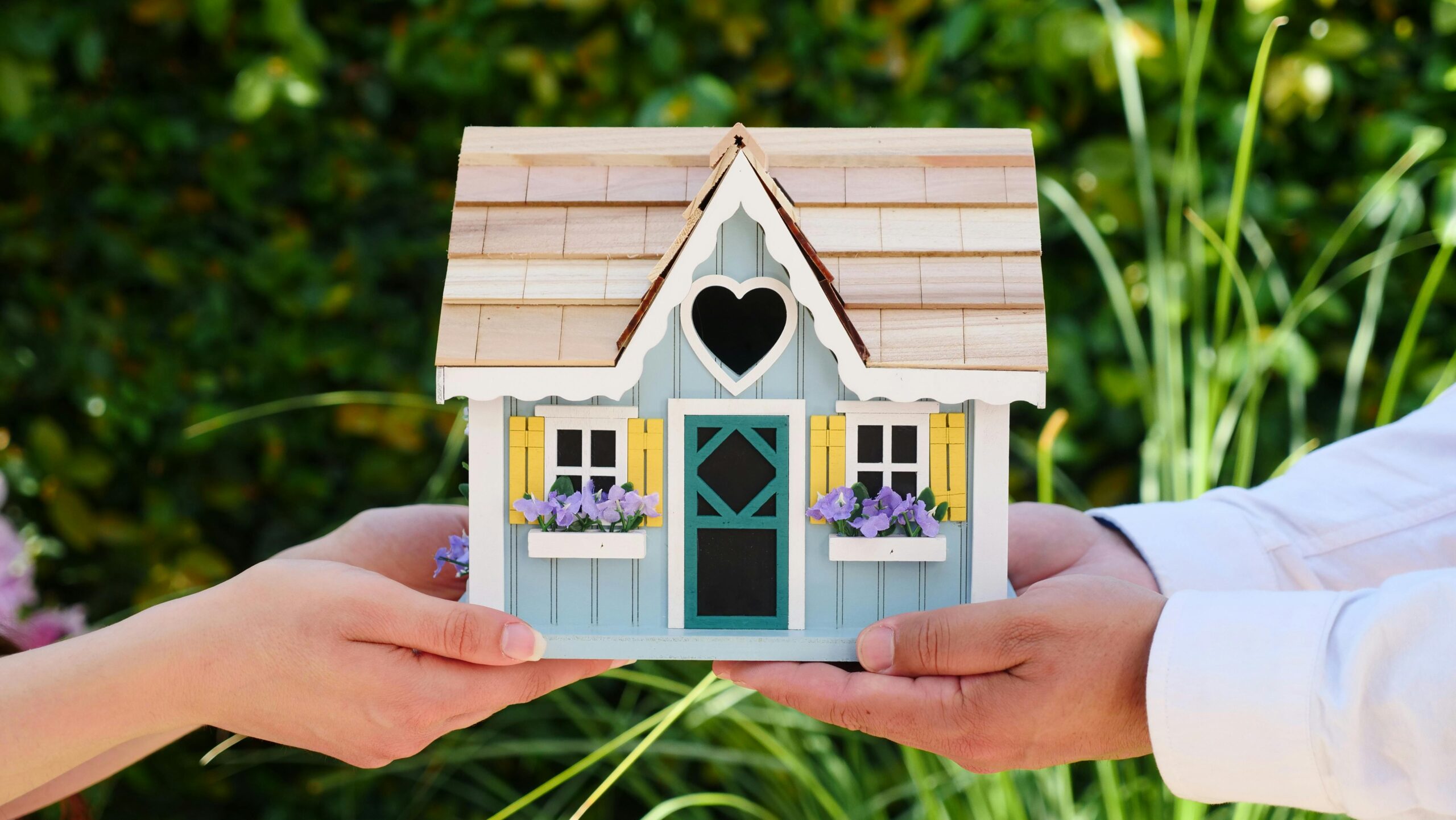 Buy a property